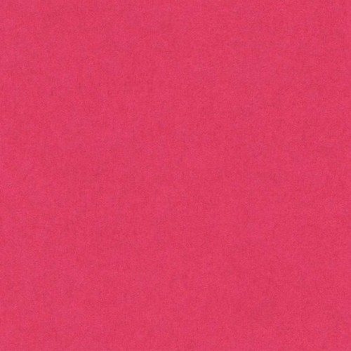 [200040160] [033468] PAQUETE 50 CARTULINAS IRIS A4 185GR FUCSIA