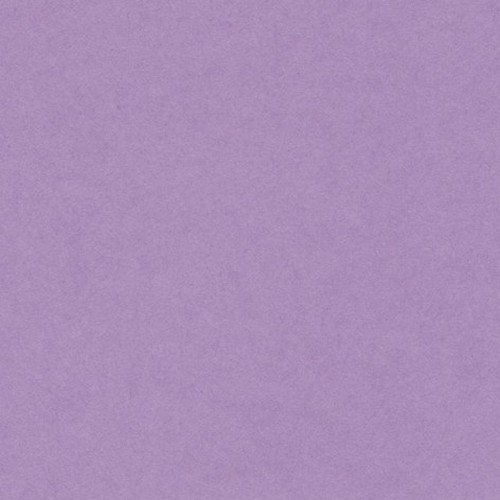 [033456] PAQUETE 50 CARTULINAS IRIS A4 185GR LILA