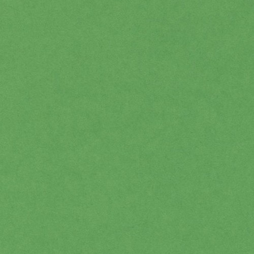 [200040172] [033481] PAQUETE 50 CARTULINAS IRIS A4 185GR VERDE BILLAR