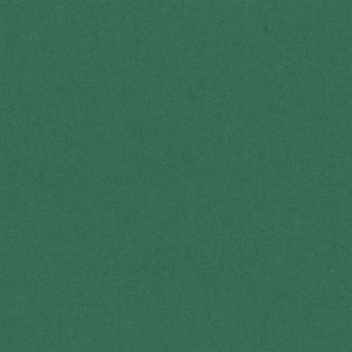 [033459] PAQUETE 50 CARTULINAS IRIS A4 185GR VERDE ABETO
