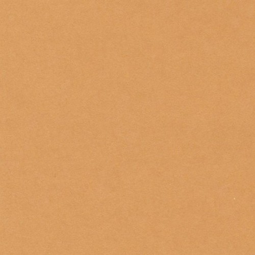 [200040175] [033467] PAQUETE 50 CARTULINAS IRIS A4 185GR CUERO