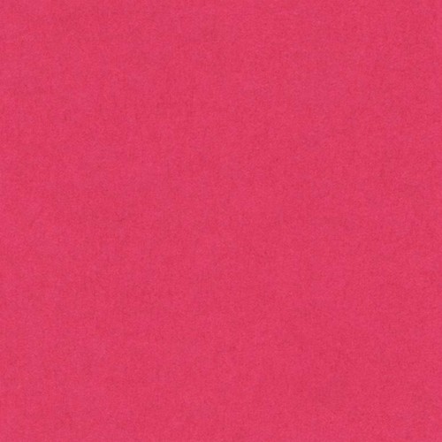 [200040226] [033543] PAQUETE 25 CARTULINAS IRIS 50X65 185GR. FUCSIA