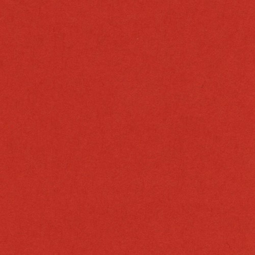 [033562] PAQUETE 25 CARTULINAS IRIS 50X65 185GR.TOMATE