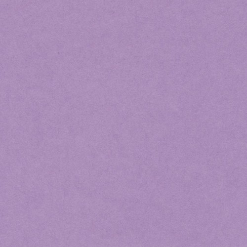 [200040230] [033523] PAQUETE 25 CARTULINAS IRIS 50X65 185GR. LILA