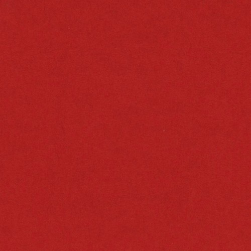 [200040228] [033526] PAQUETE 25 CARTULINAS IRIS 50X65 185GR. ROJO